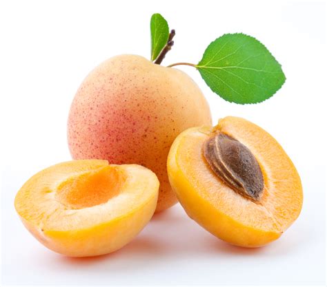 Apricot